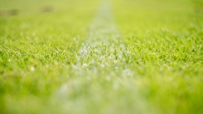 أهداف نيوكاسل ونوتنجهام فورست في الدوري الإنجليزي الممتاز
